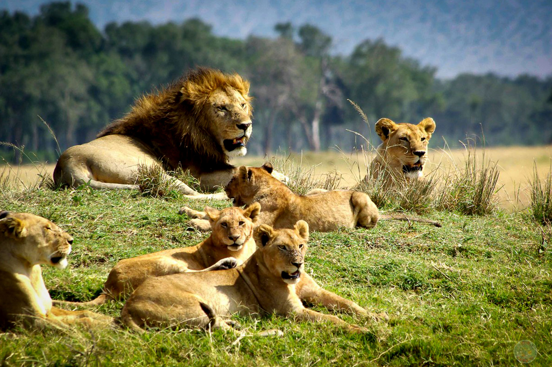 Chyulu-Hills-National-Park