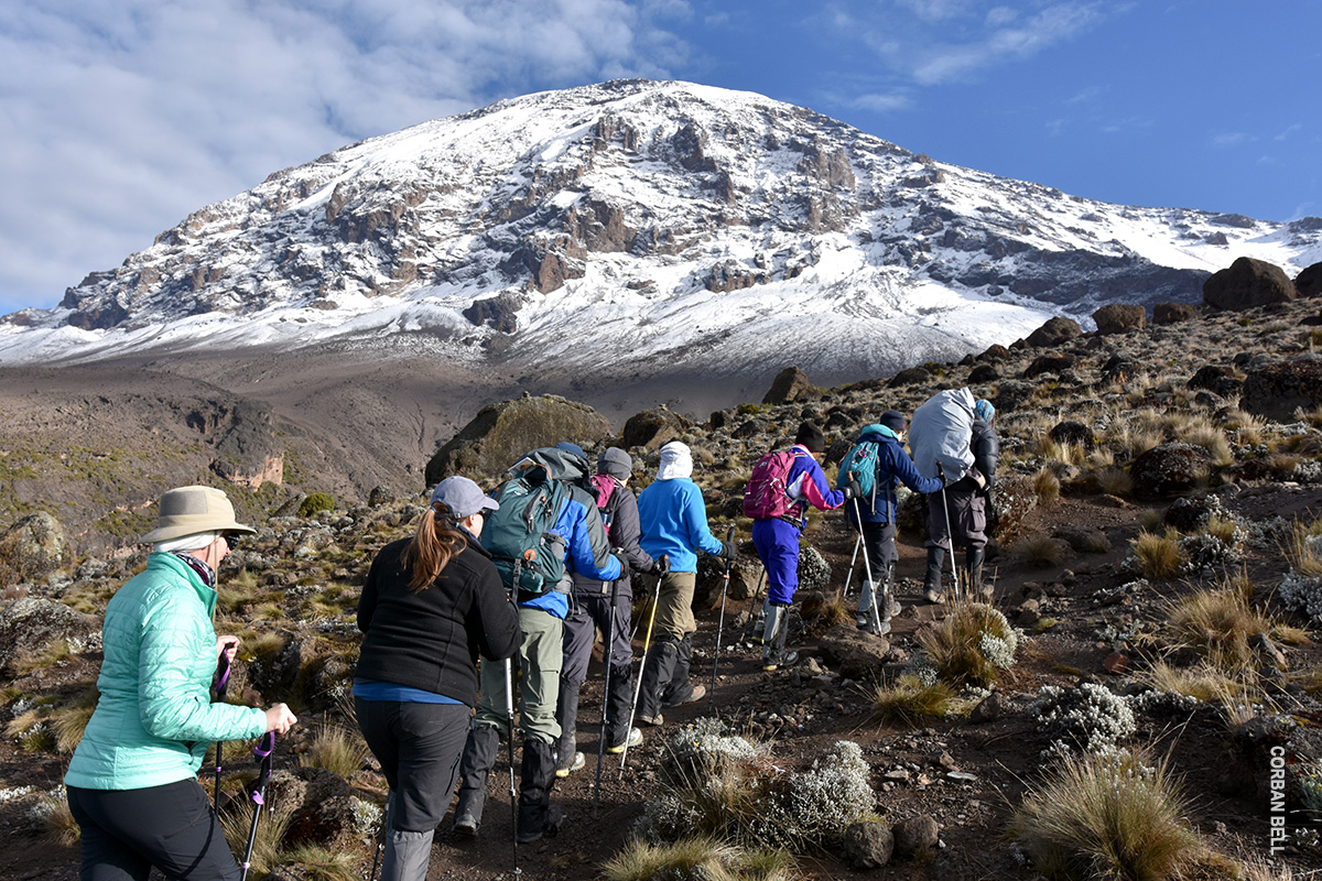 snowy-kibo-trekking