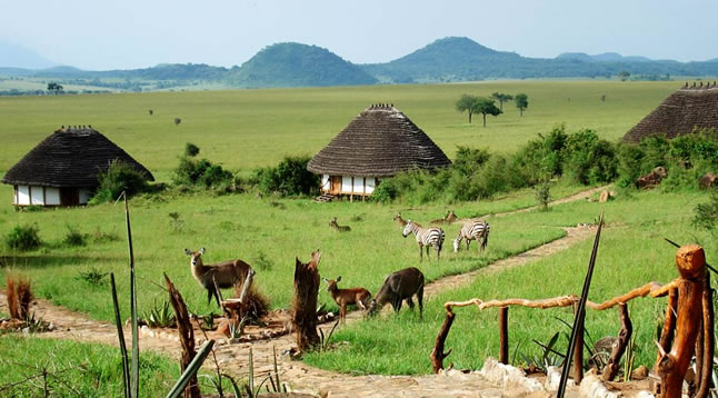 kidepo valley pic 1