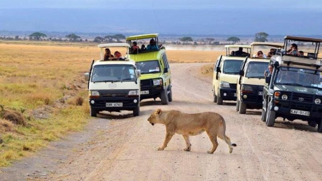 tsavo national park 1